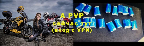 прущая мука Бородино