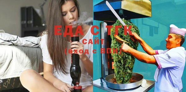 гидра Богородицк