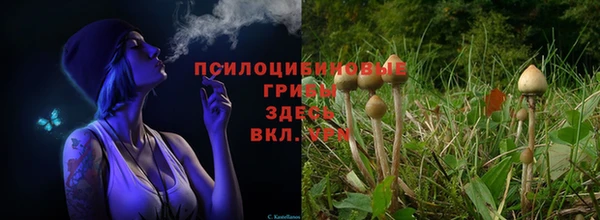 ALPHA-PVP Бронницы